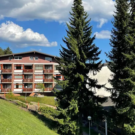 App- 1406 - By Interhome Apartment Schluchsee