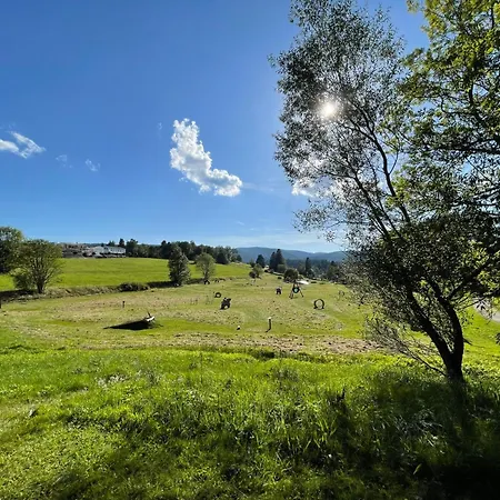 아파트 App- 1406 - Ex-kurhotel By Interhome 3*