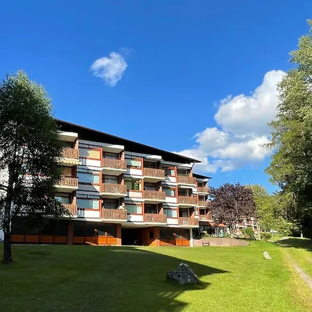 App- 1406 - By Interhome Apartment Schluchsee