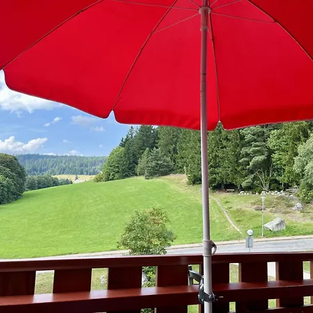 Schoene Aussicht - App 1406 - Ex-kurhotel By Interhome Schluchsee