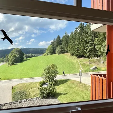 Schoene Aussicht - App 1406 - Ex-kurhotel By Interhome 3* Schluchsee